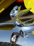 Close up of a hood ornament