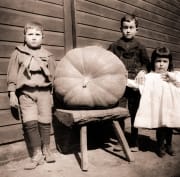 A group of children posing with a large pumpkin